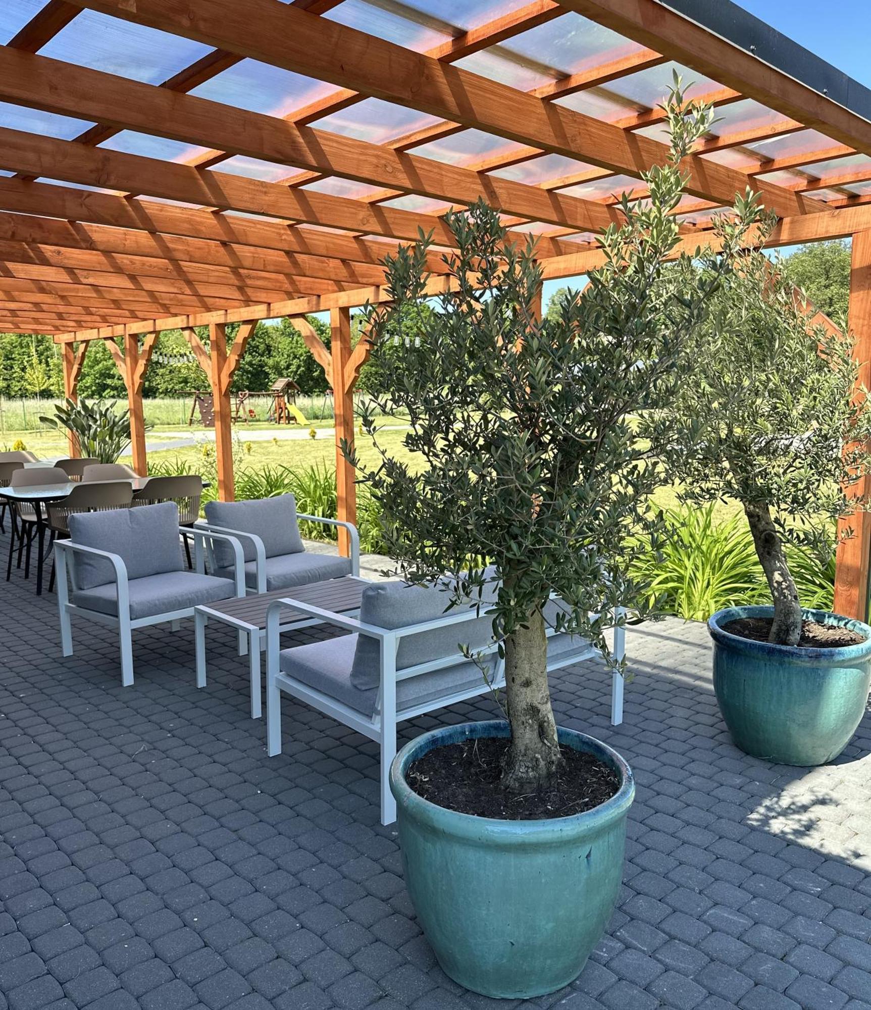 Pokoje Goscinne Kameralnie - Basen Z Podgrzewana Woda Jantar Exterior foto